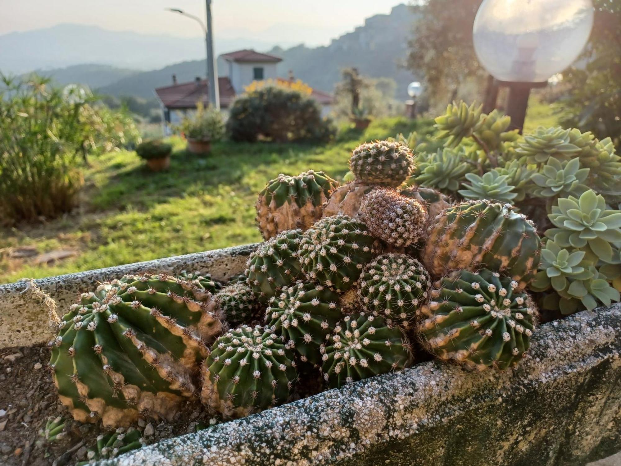 Il Fontolo Villa Ponzano Superiore Екстериор снимка